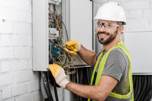 Best Electric Panel Repair  in Brogden, NC